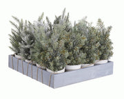 ALBERELLO DI NATALE MINI IN PVC 30CM ASSORTITO