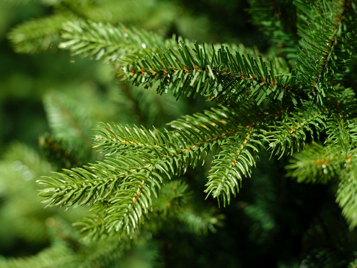 ALBERO DI NATALE ALLISON H240CM VERDE