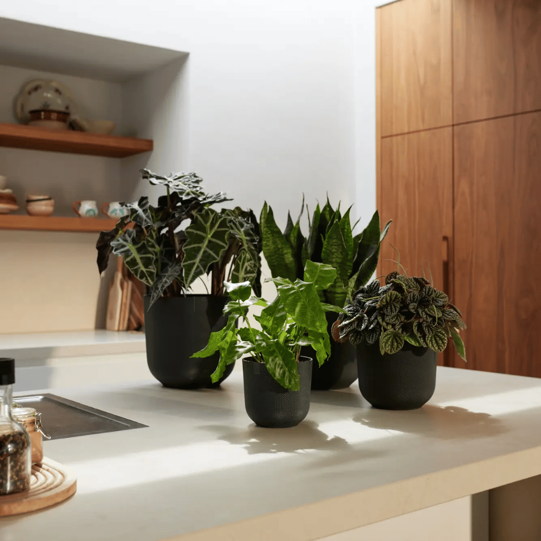 VASO JAZZ ROUND 16CM LIVING BLACK