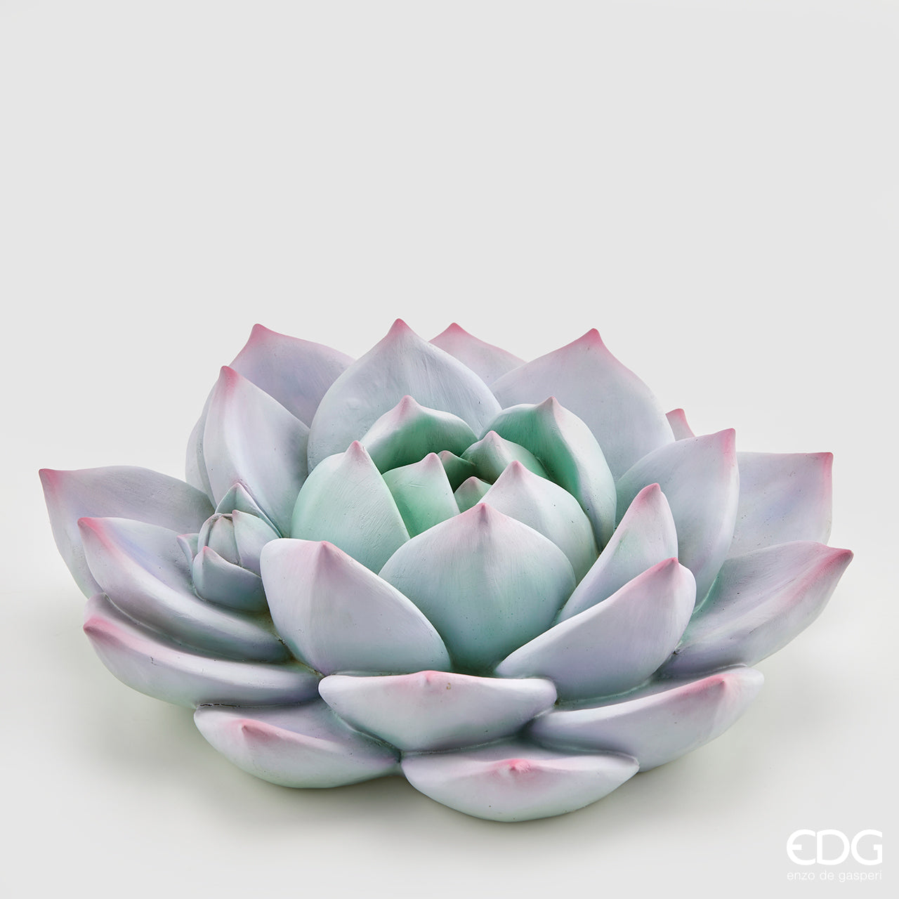 ECHEVERIA IN RESINA   D.40 VIOLA