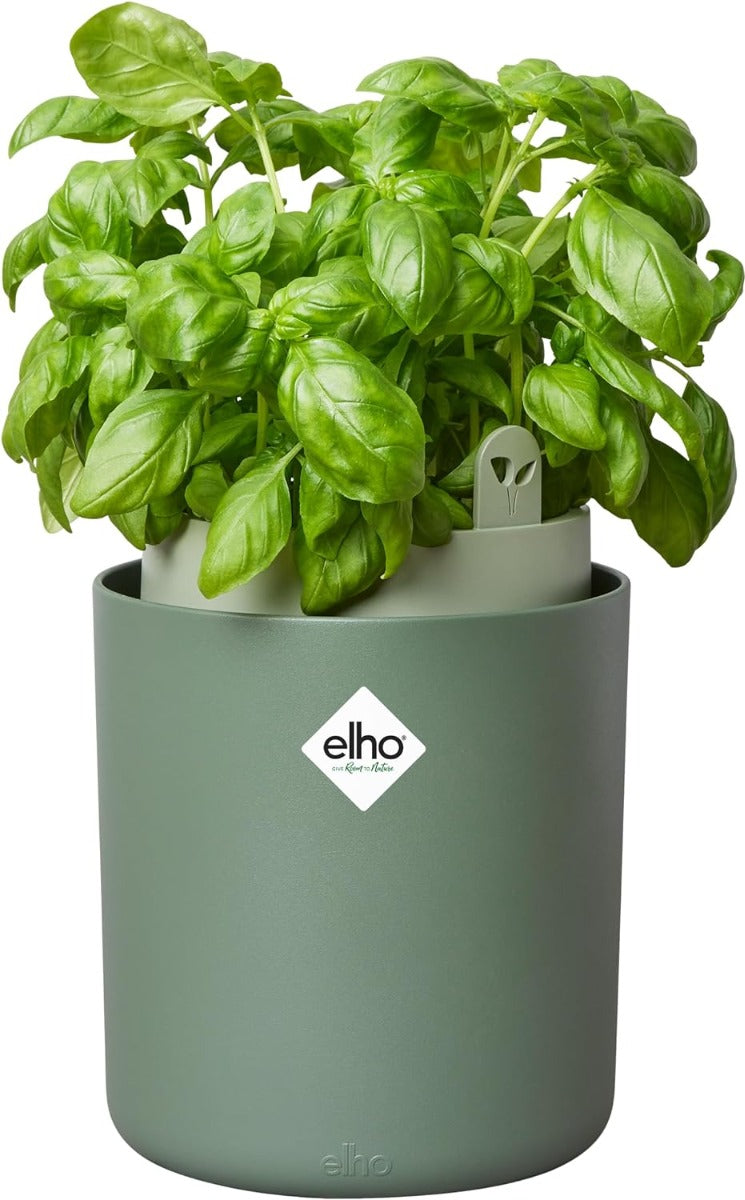 VASO BOUNCY BASIL LEAF GREEN