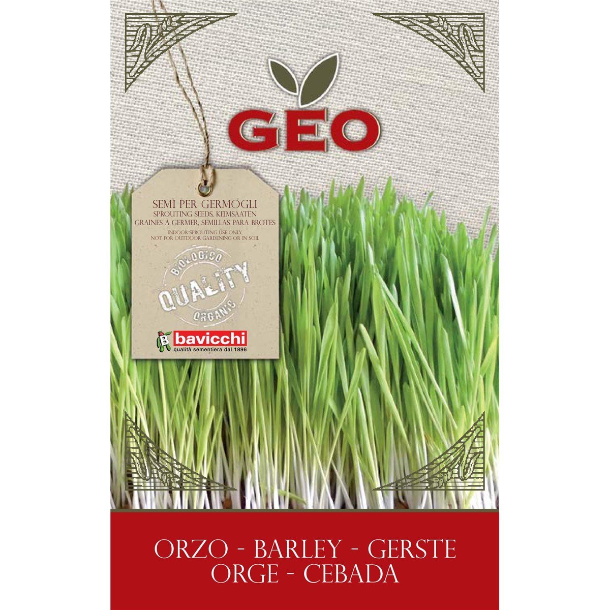 SEMI BIO DI ORZO PER GERMOGLI 80GR