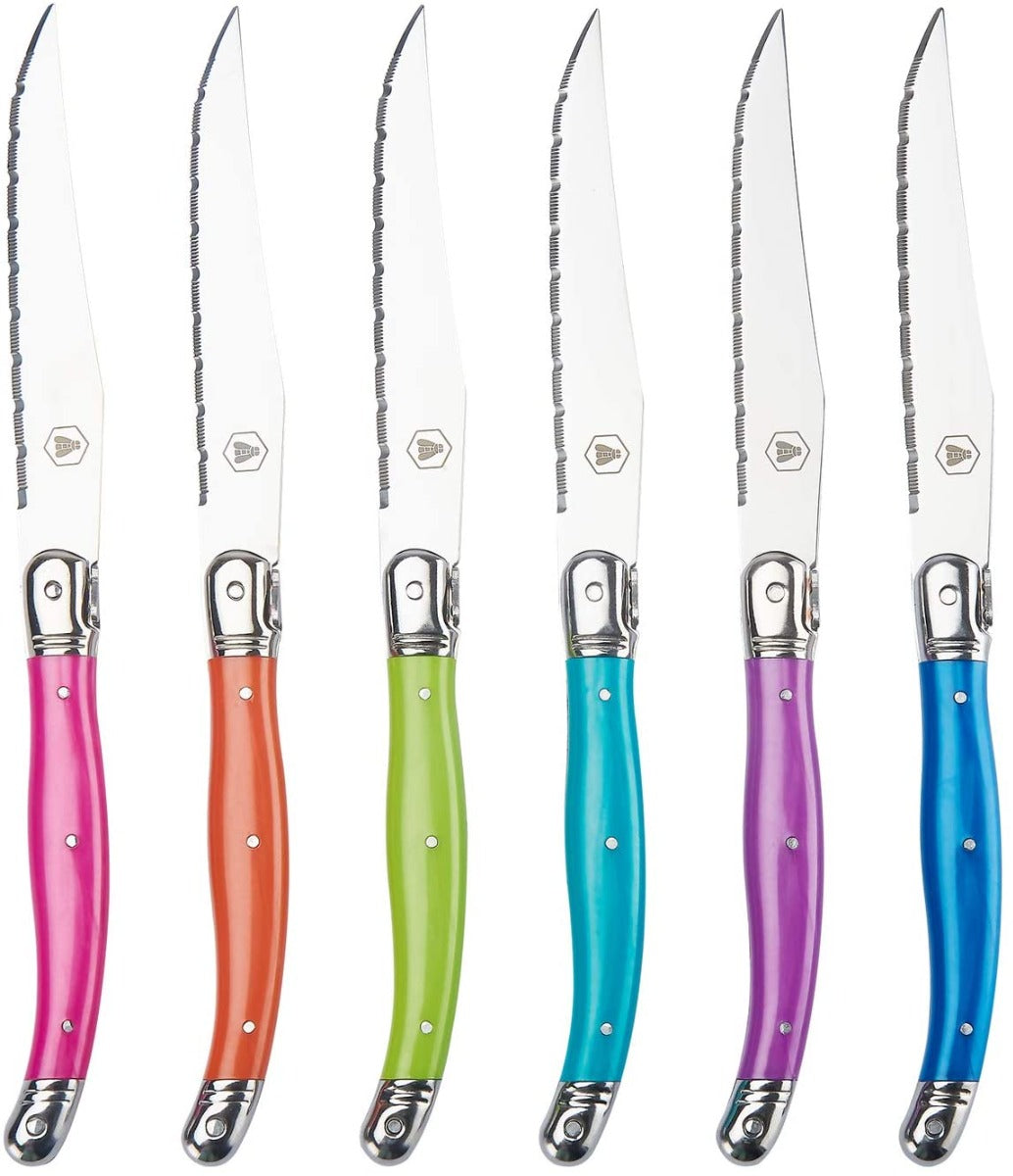SET 6 COLTELLI COLORATI DA BISTECCA
