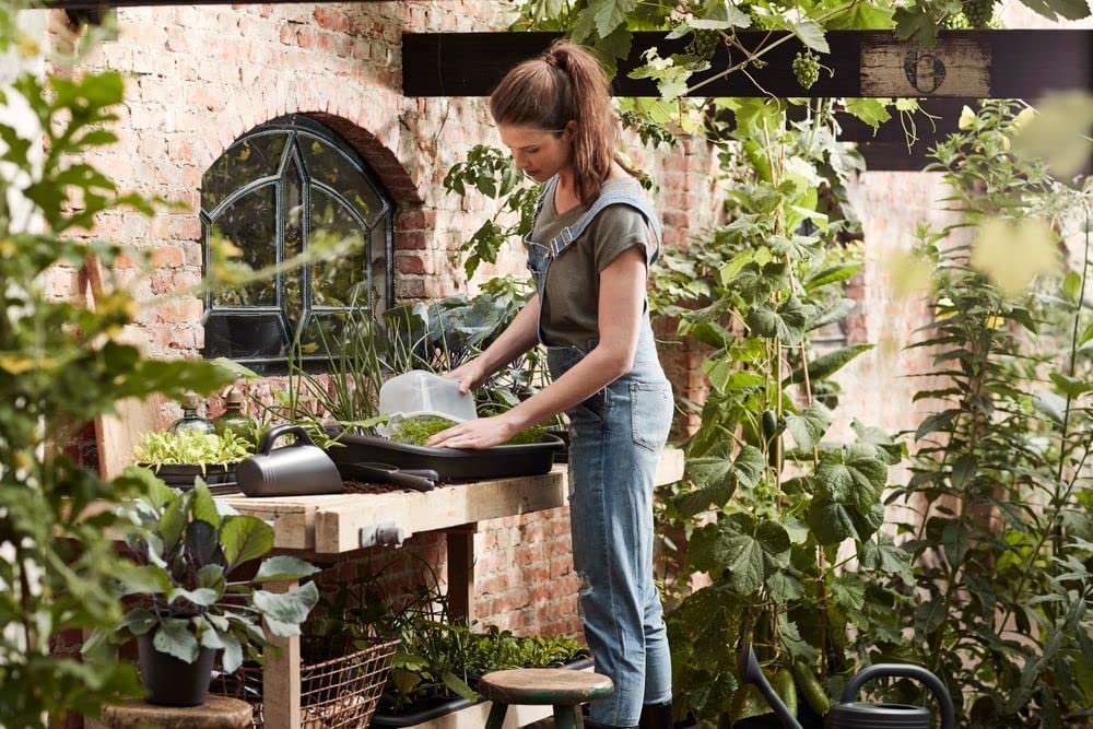 SERRA GREEN BASICS GROW HOUSE M TRASPARENTE