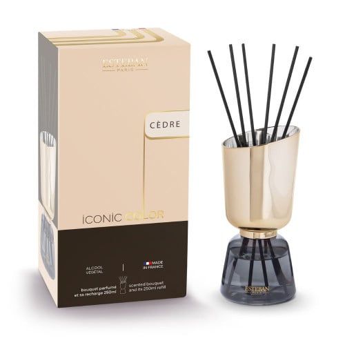 Esteban-Paris Bouquet Profumato Iconic Color 250 ml - Cedro