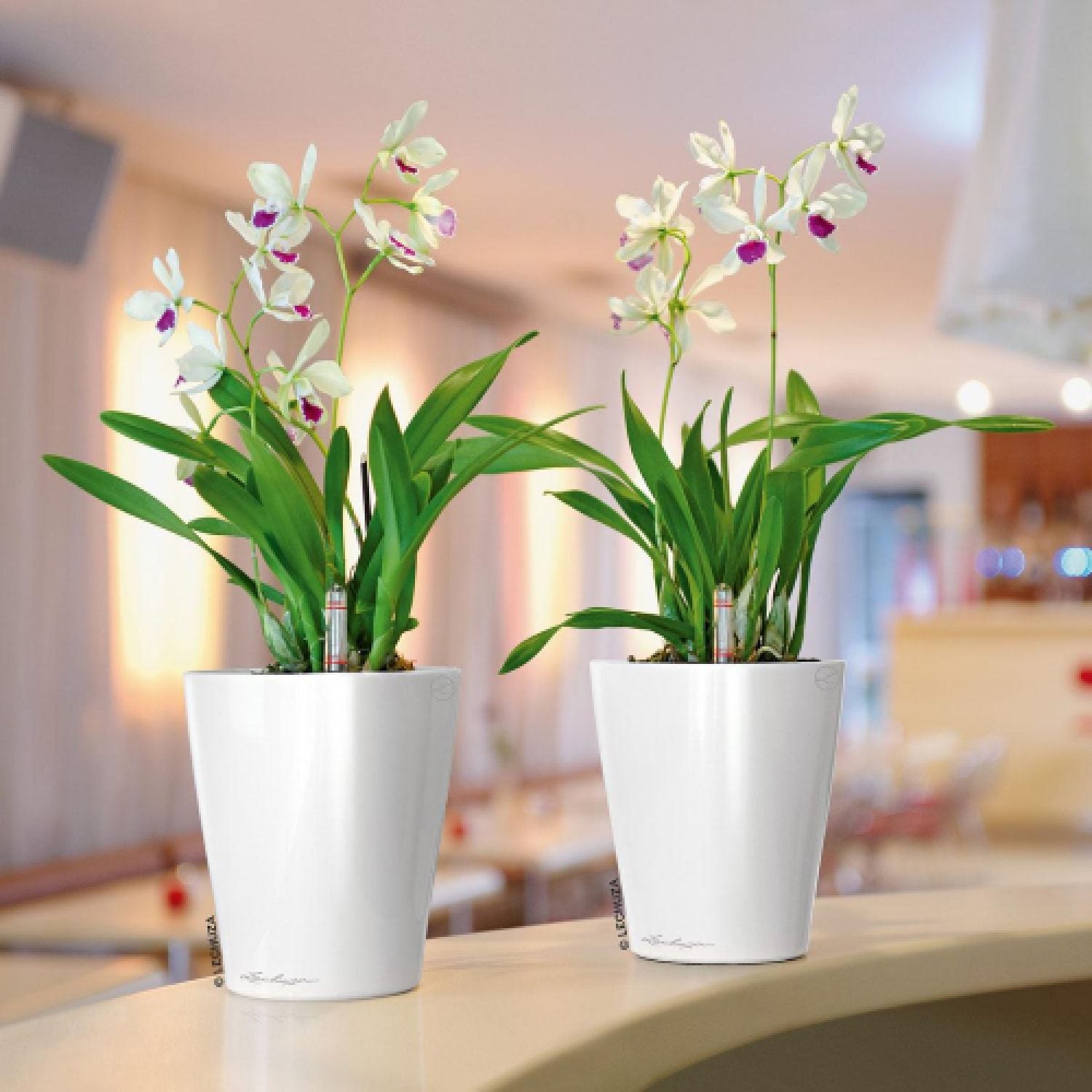 Vaso Per Piante Rotondo Deltini Premium 14 D14 H18 Cm Bianco Lucido Lechuza