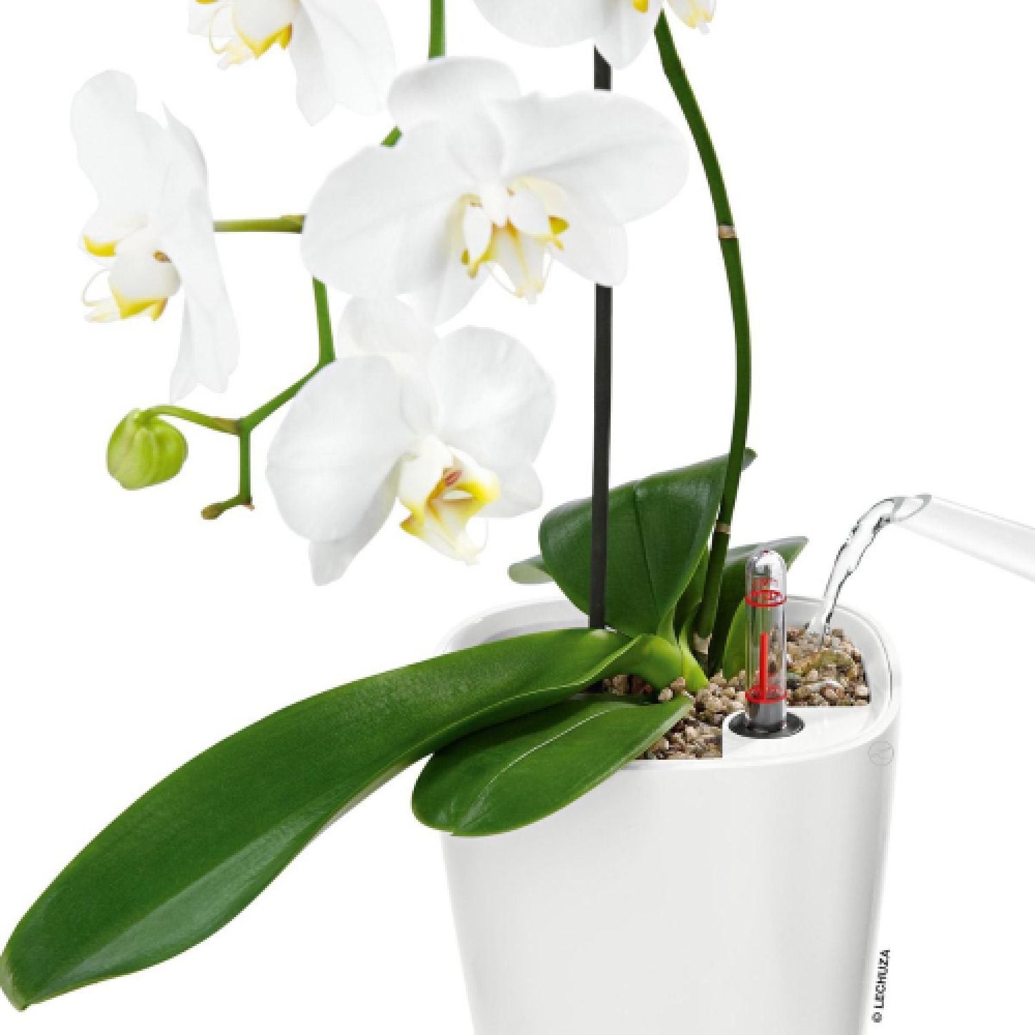 Vaso Per Piante Rotondo Deltini Premium 14 D14 H18 Cm Bianco Lucido Lechuza