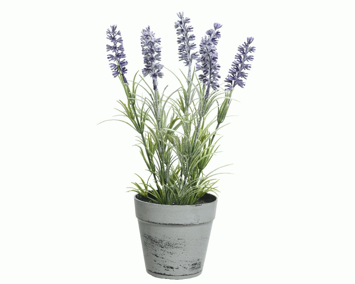 VASO LAVANDA D.18X33 PORPORA