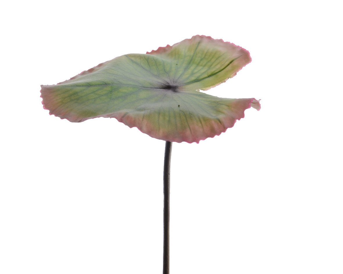FOGLIA LOTO DECORATIVA 26X82CM VERDE