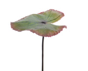 FOGLIA LOTO DECORATIVA 18X82CM VERDE