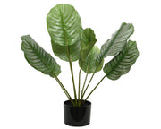 CALATHEA VERDE ARTIFICIALE IN VASO 53X63CM