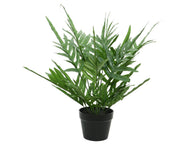 PHLEBODIUM ARTIFICIALE IN VASO 63X54CM