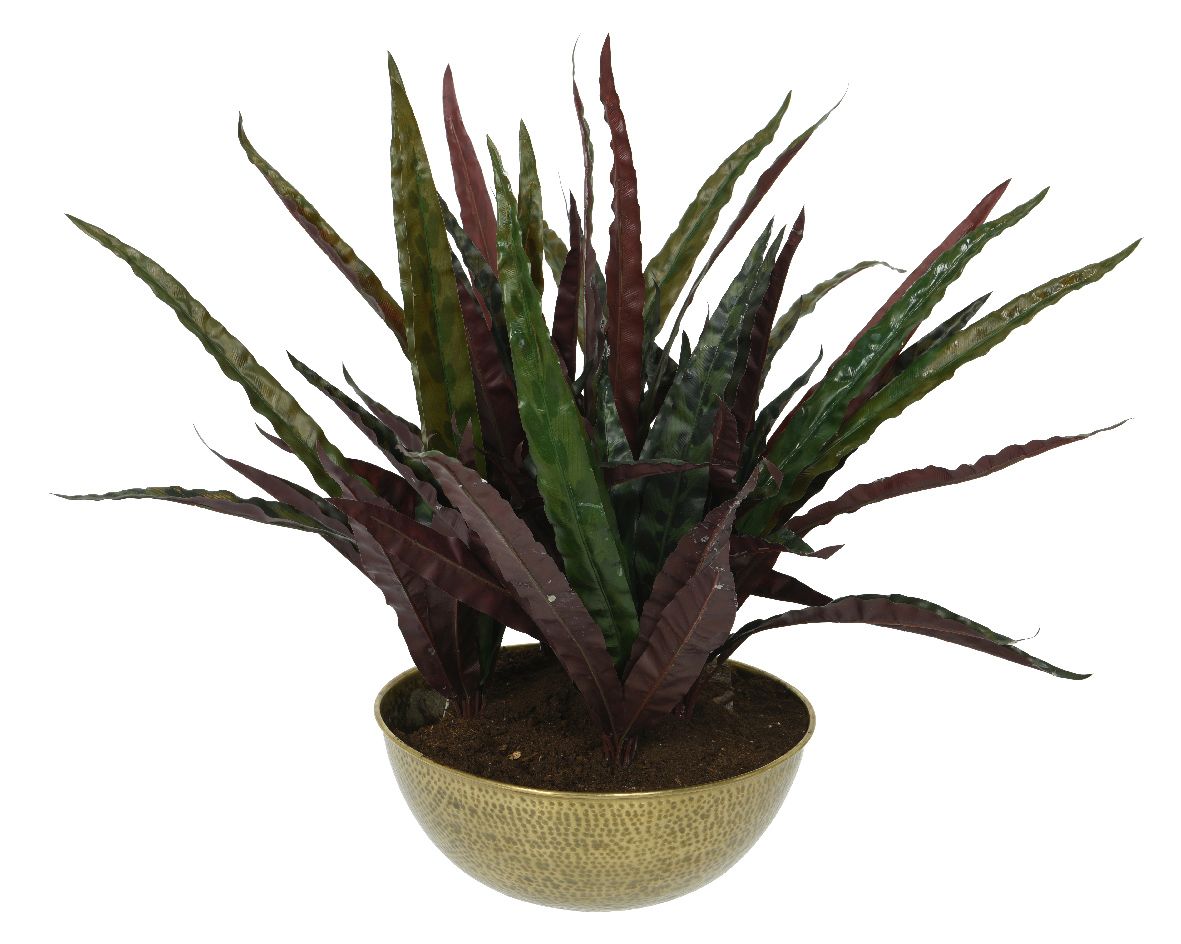 CALATHEA ROSSA ARTIFICIALE IN VASO 84X46CM