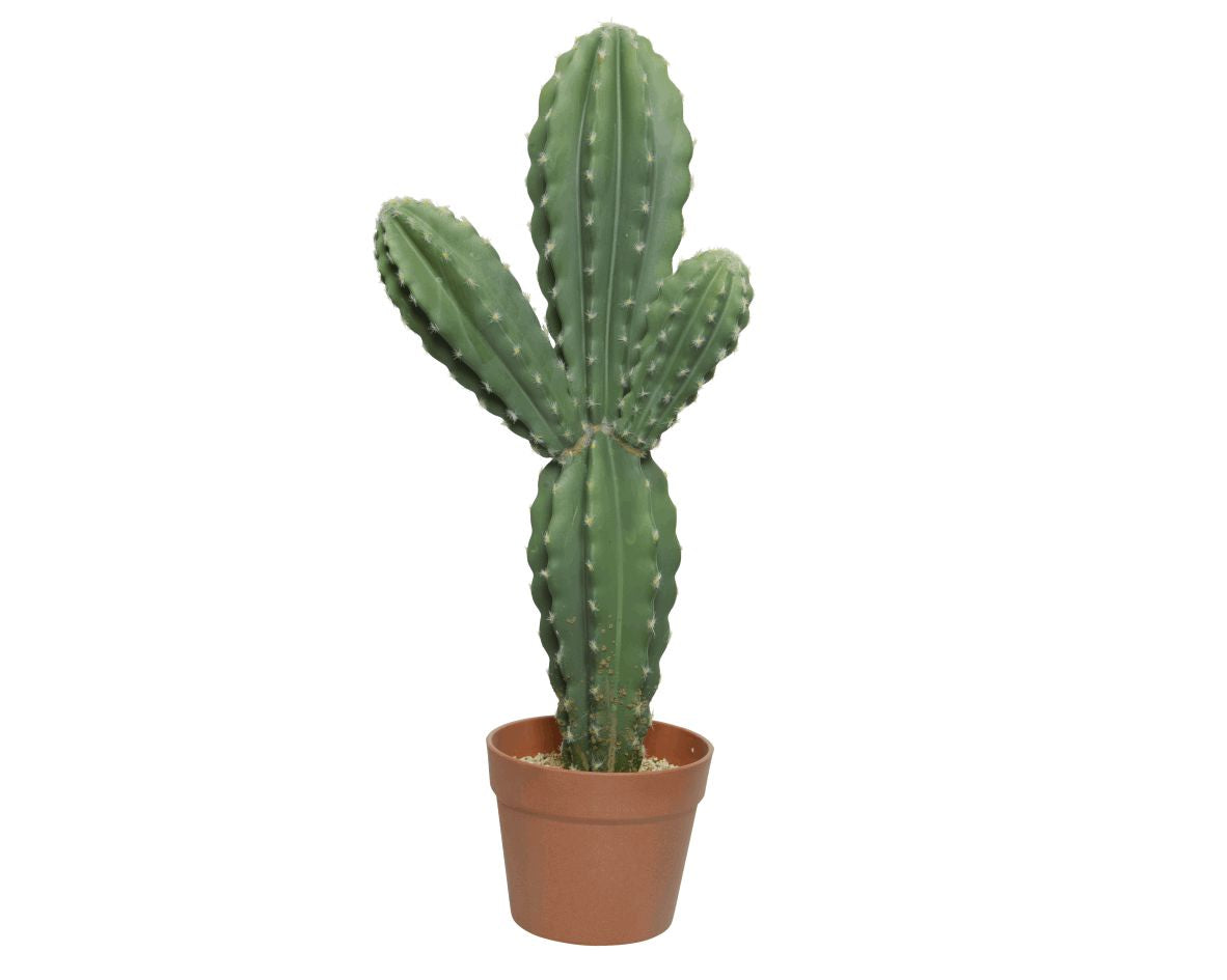 CACTUS ARTIFICIALE CON VASO 23X107CM