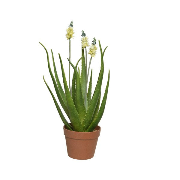 AGAVE ARTIFICIALE IN VASO CON FIORI BIANCHI 13X60CM