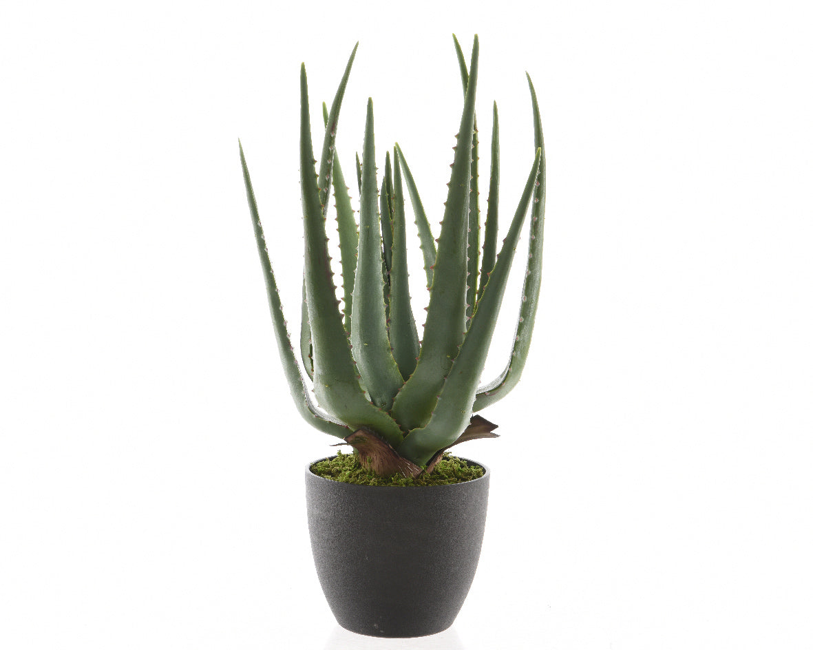 ALOE IN VASO ARTIFICIALE 67CM VERDE