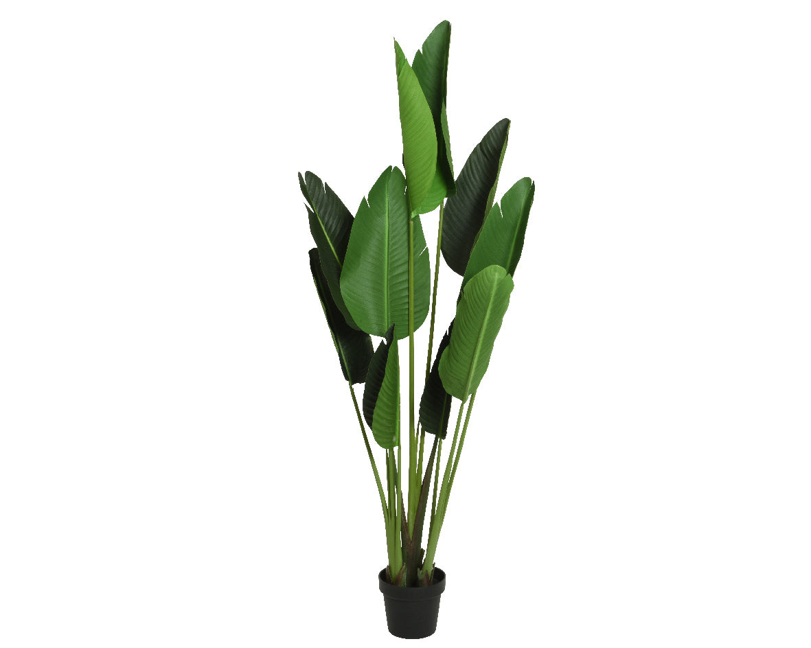 STERLITZIA PIANTA ARTIFICIALE 70X150CM
