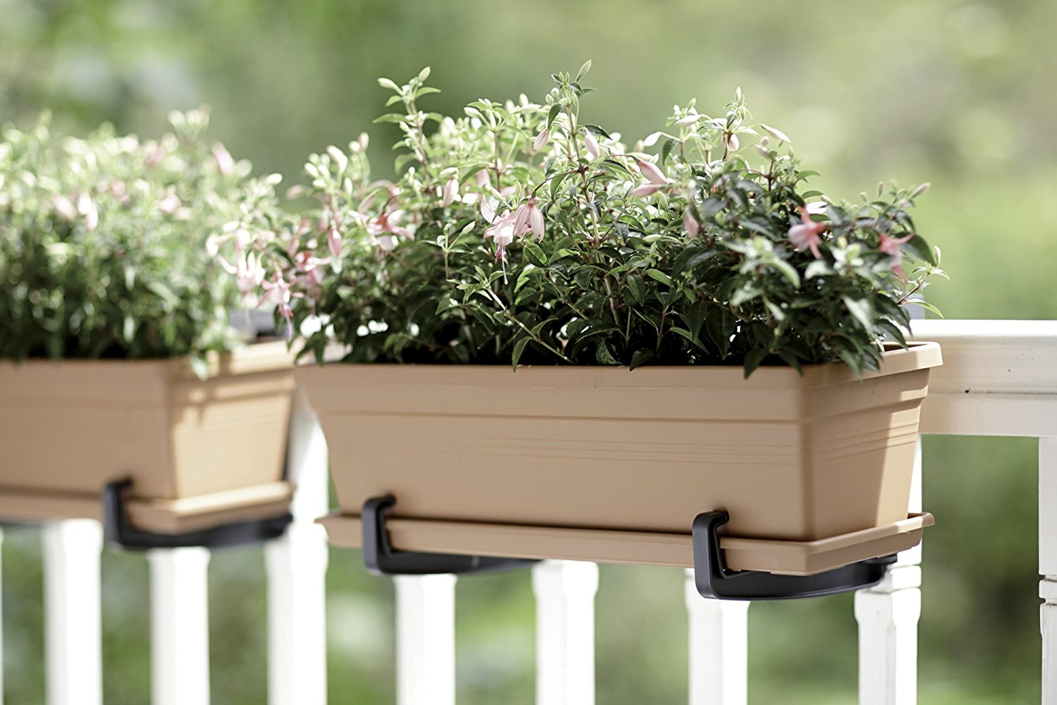 FIORIERA GREEN BASICS TROUGH 60CM COLORE A SCELTA