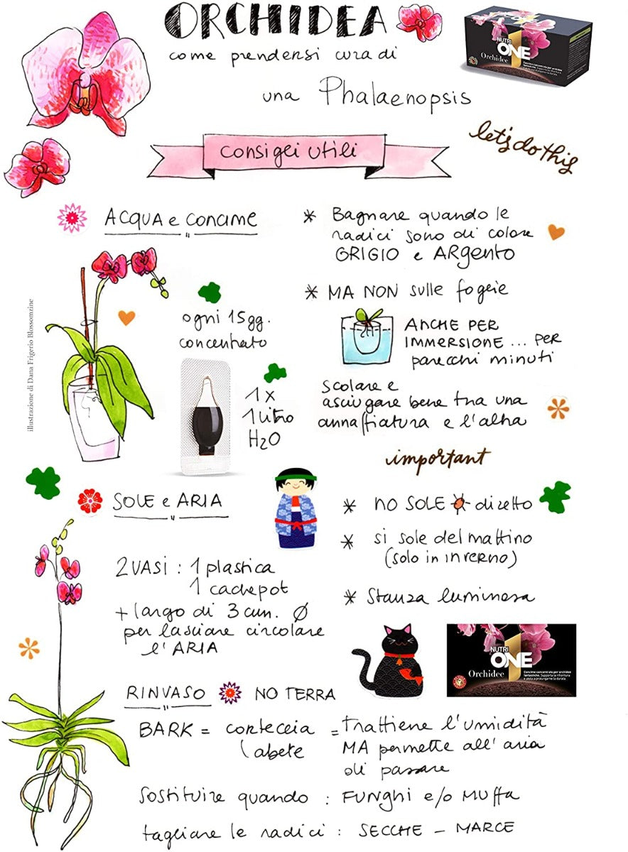 CONCIME ONE PER ORCHIDEE 20 AMPOLLE MONODOSE