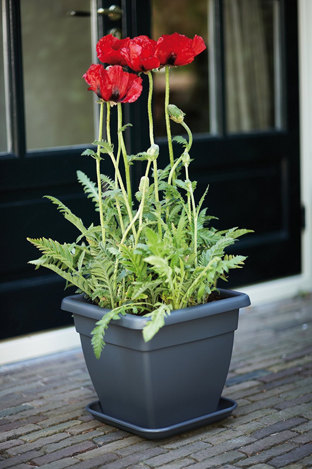 VASO TORINO CAMPANA SQUARE 25CM COLORE A SCELTA