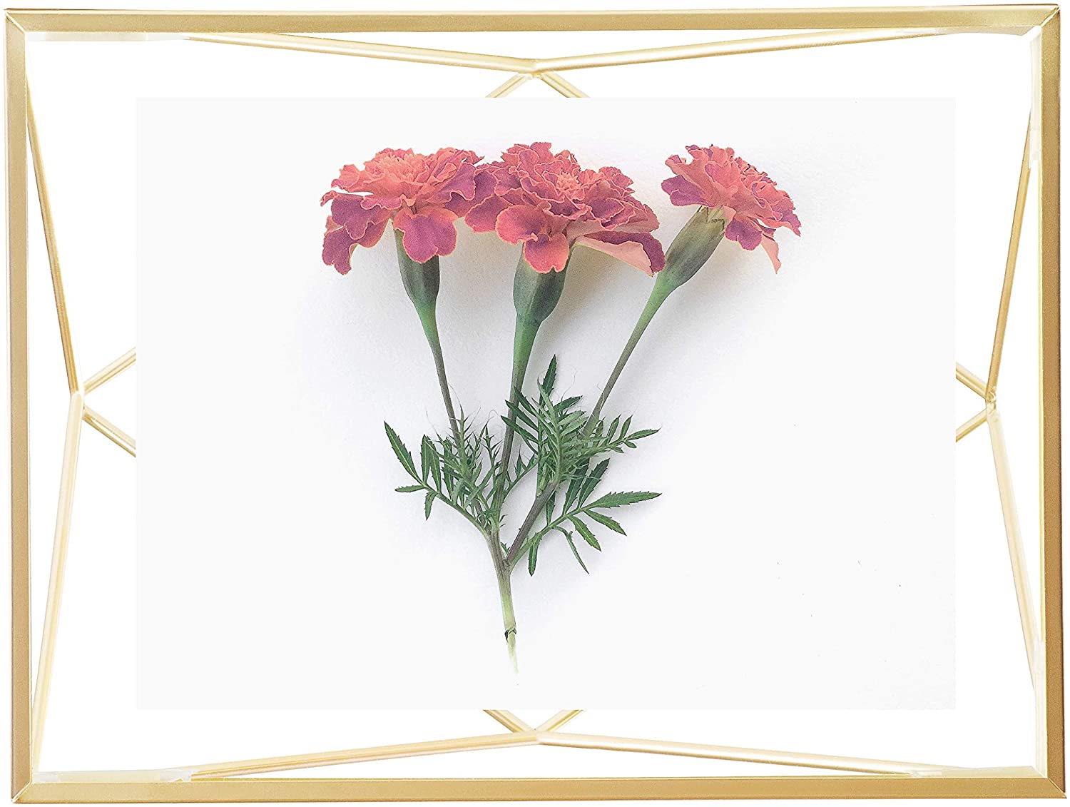 CORNICE PORTAFOTO PRIMA DORATA 10X15CM UMBRA