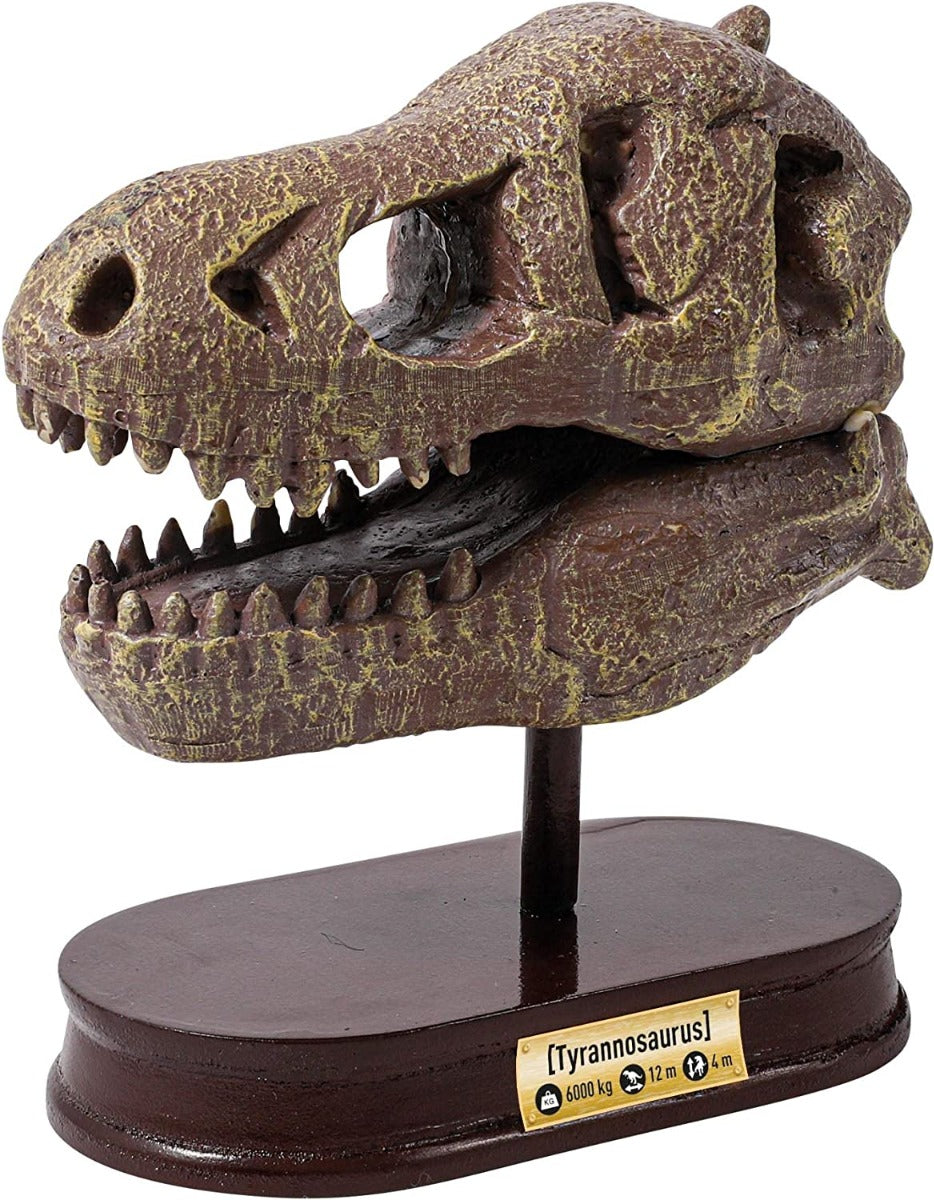DIVENTA UN ARCHEOLOGO TESCHIO DI UN TIRANNOSAURO T-REX