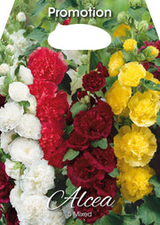Rose trémière Alcea mélangée (paquet de 5 bulbes)