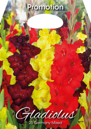 Gladioli Germany Mixed (CONFEZIONE DA 25 BULBI)