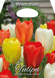 Mix Bulbi di Tulipano Emperor 20 Bulbi - immagine 1