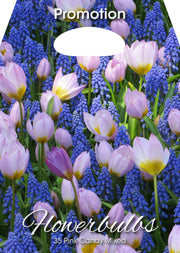 Mix Bulbi da Fiore Pink Candy 35 Bulbi