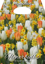Mix Bulbi da Fiore Sunshine 20 Bulbi - immagine 1