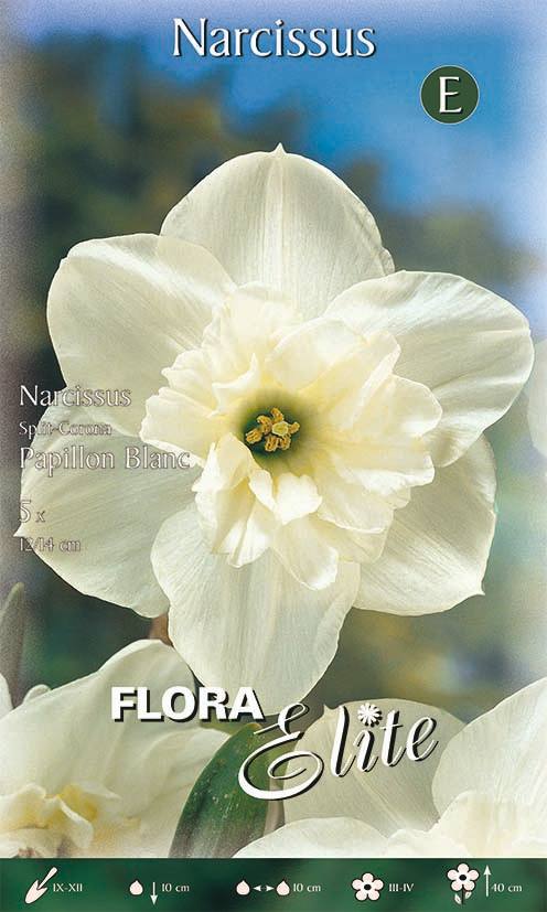 Bulbi di Narciso Split Corona Papillon Blanc 5 Bulbi - immagine 1