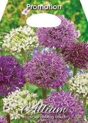 Bulbi di Allium Mix Fioritura Grande 15 Bulbi - immagine 1