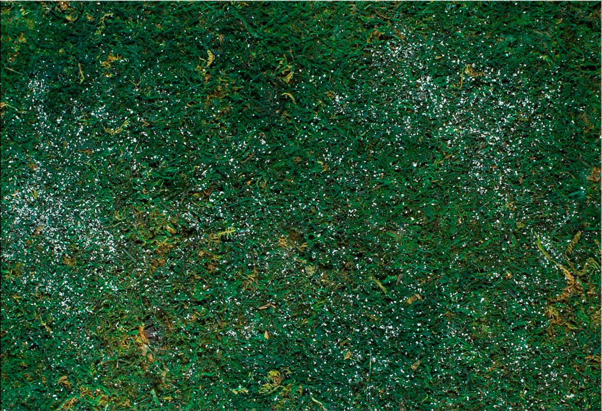FOGLIO CARTA CON MUSCHIO INNEVATO 70X50CM