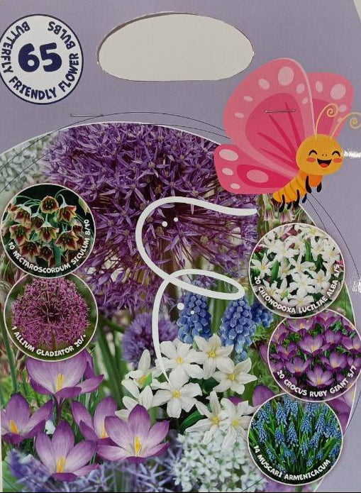 Bulbi da Fiore Amici delle Farfalle 65 Bulbi - immagine 1