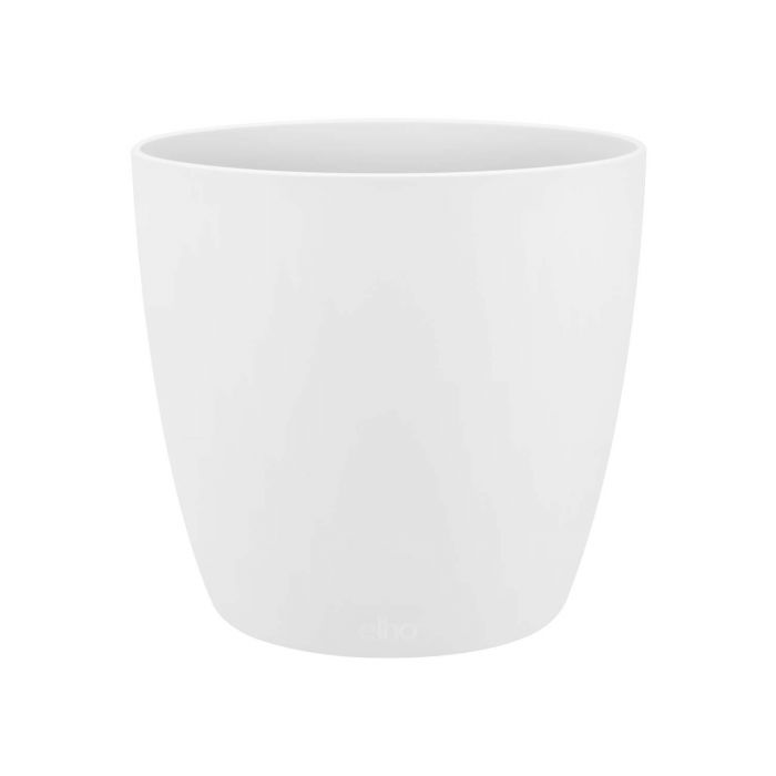 MIX 4 PIANTE PURIFICATRICI DELL'ARIA VASO 14CM + 4 COPRIVASO BIANCO