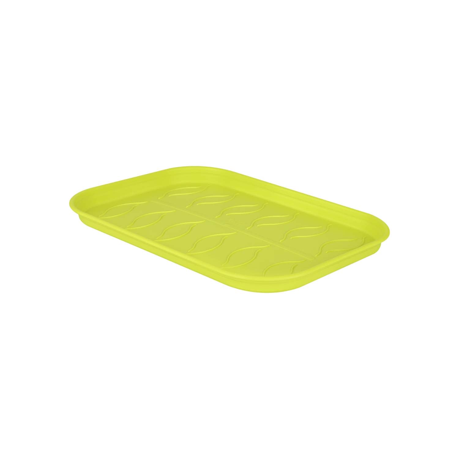 GREEN BASICS PLATEAU DE CULTURE AVEC SOUS-COUPE, COULEUR AU CHOIX