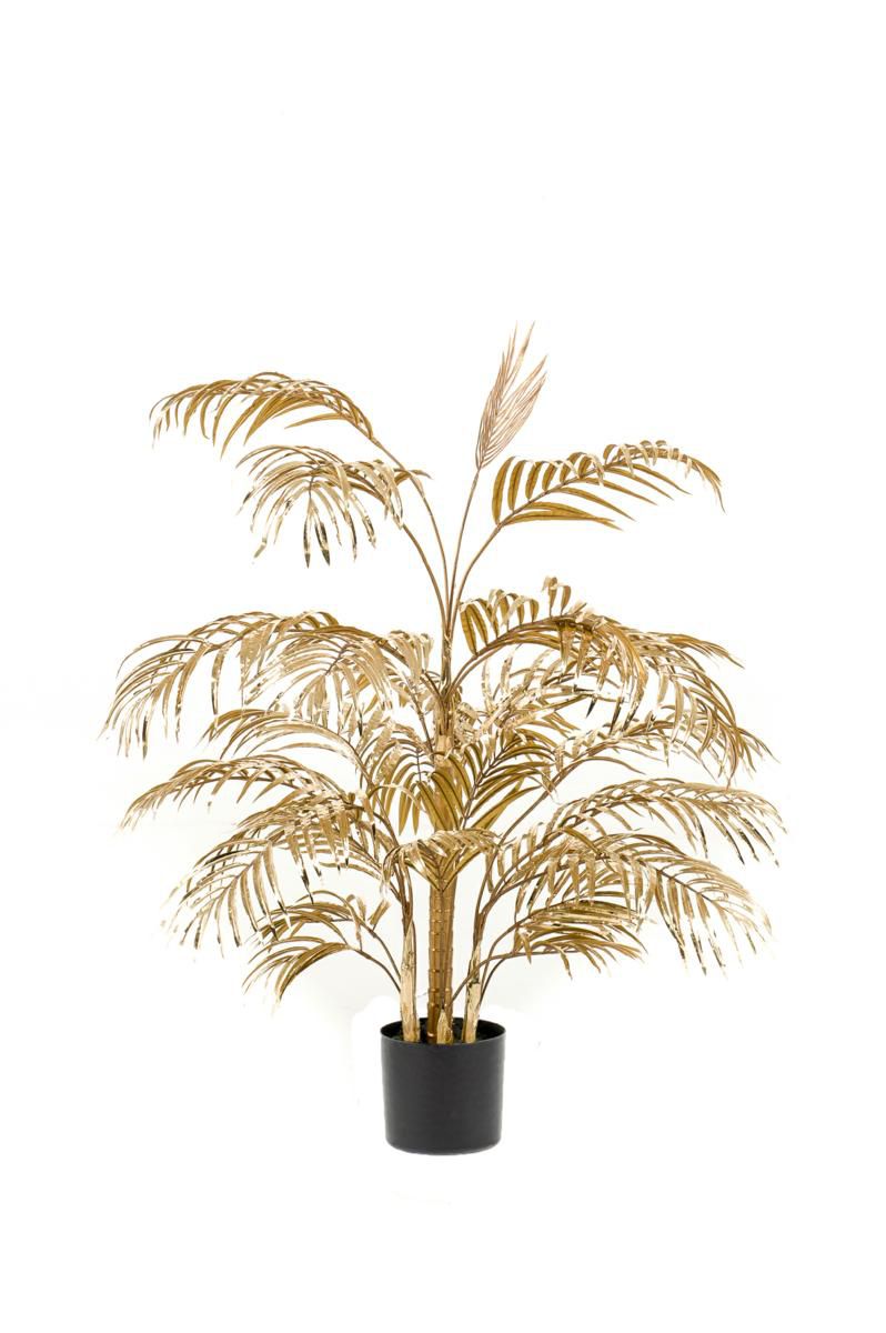 PALMA ARECA H.105 ORO