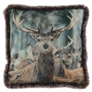 CUSCINO 45X45CM CON RENNE