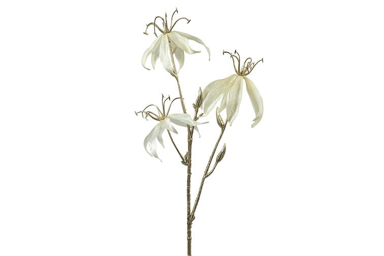 DECORAZIONE NATALIZIA, RAMO GLORIOSA, H61CM, COLOR CREMA