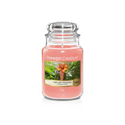 CANDELA GIARA GRANDE THE LAST PARADISE