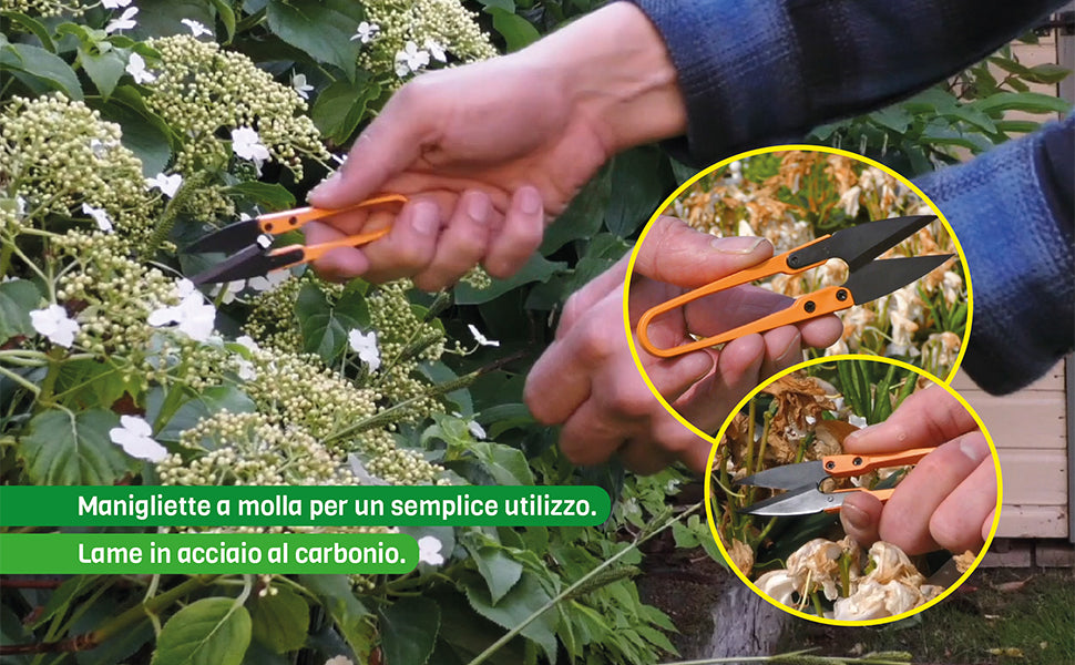 FORBICI PICCOLE PER GIARDINAGGIO - ZAC