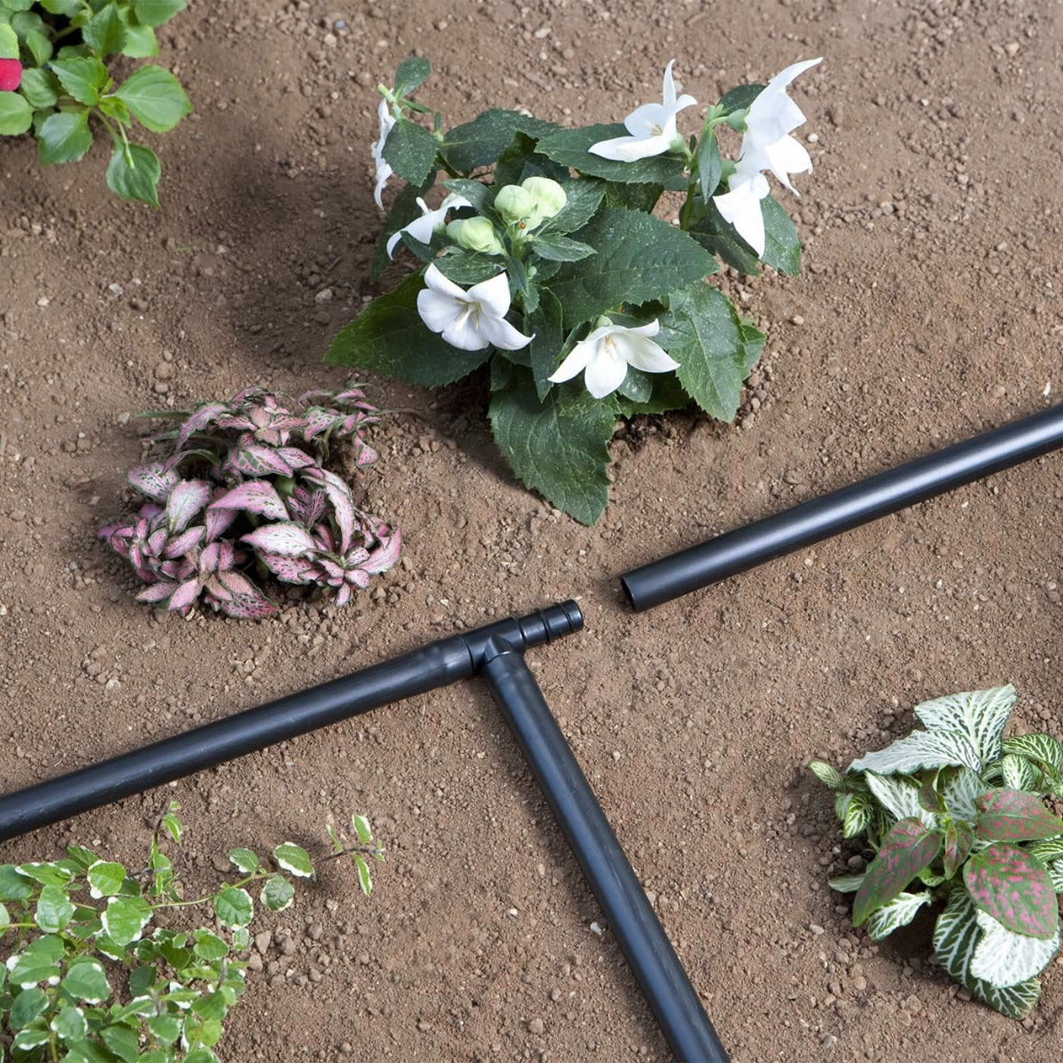 RACCORDO A TRE VIE BLISTER 91071 CLABER