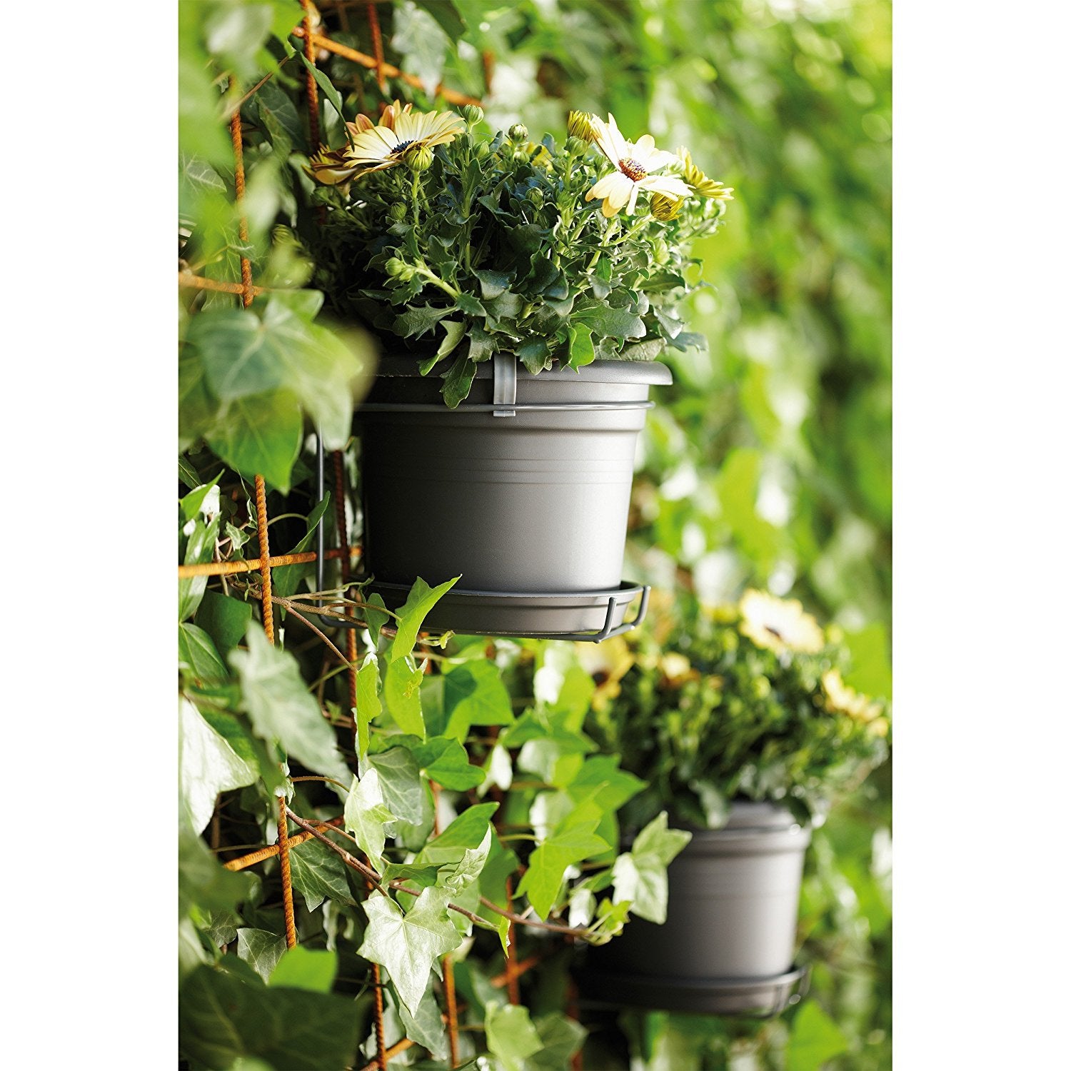 VASO GREEN BASICS WALL POTHOLDER ALLIN1 COLORE A SCELTA