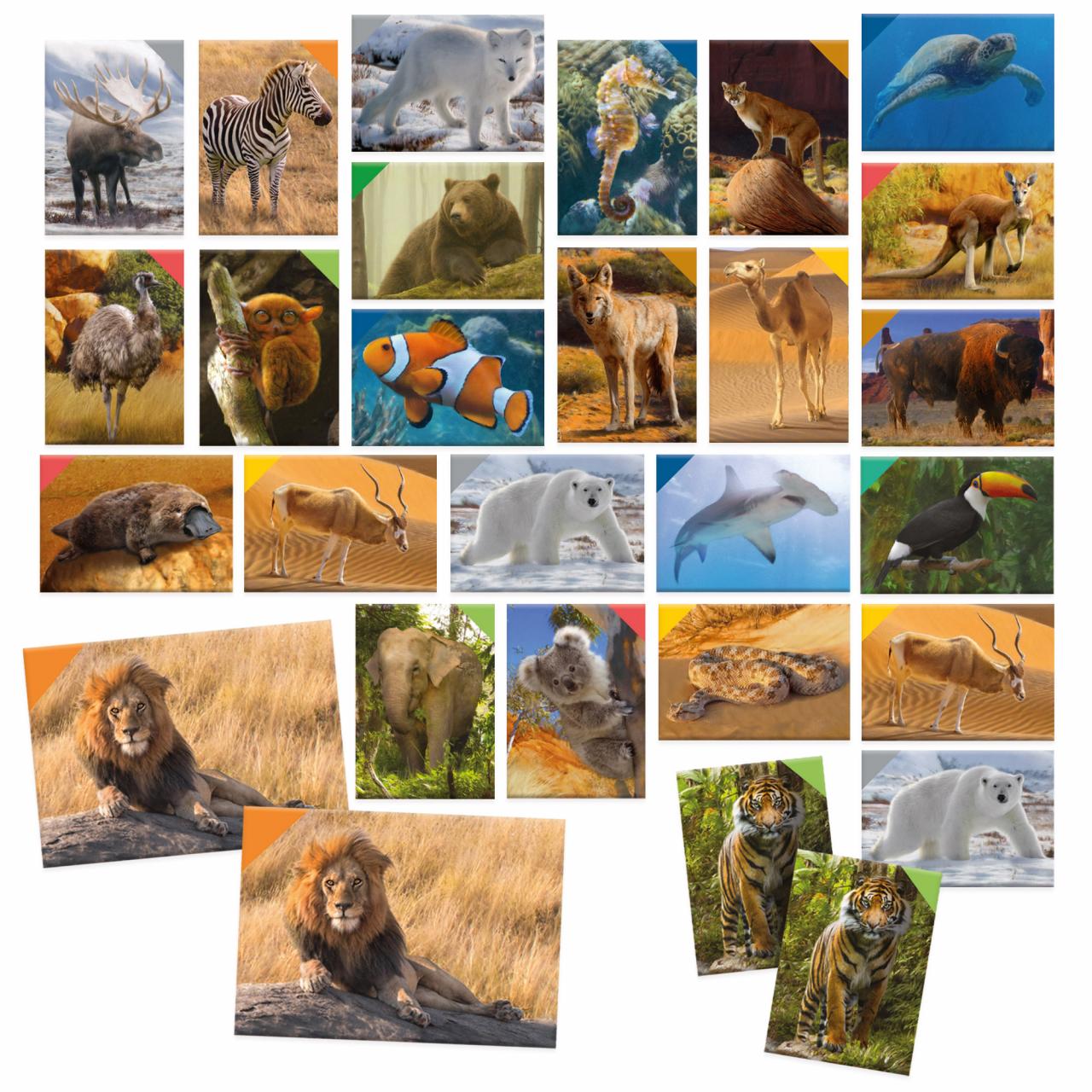 Gioco di Memoria 108 Carte Animali 5+ Headu