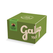 Panettone con gocce di cioccolato fondente farcito con crema al pistacchio 900g Galup