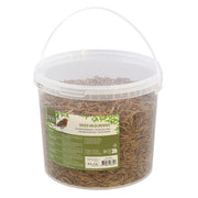 Tarme della Farina Essiccate 0.7 kg