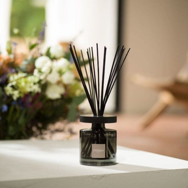 Bouquet profumato Ellipse Cedro 200ml ESTEBAN-PARIS - immagine 4