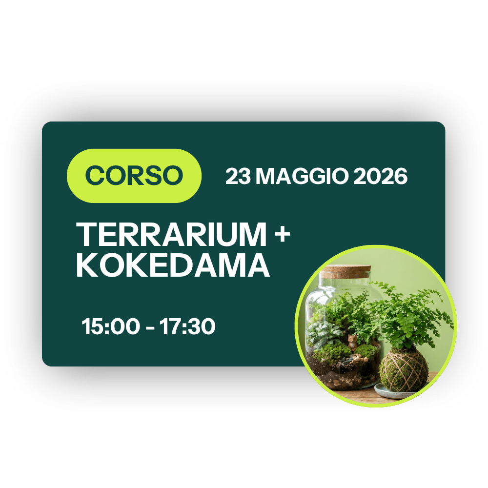 Corso Terrarium + Kokedama - 23 Maggio 2026