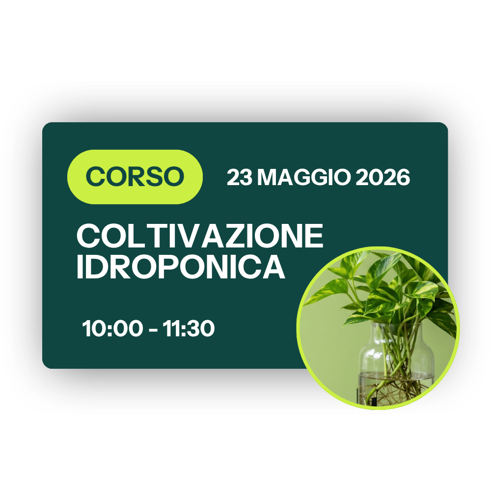 Corso Coltivazione Idroponica - 23 Maggio 2026